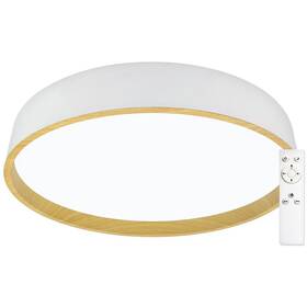 LED stropné svietidlo Top Light Dekor 50B RC (Dekor 50B RC) biele