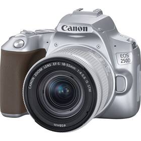 Digitálny fotoaparát Canon EOS 250D + 18-55 IS STM (3461C001) strieborný