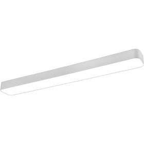 LED stropné svietidlo Reality Asterion (RE R62451931) biele