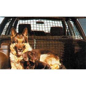 Sieť Carpoint na převážení psů / do zavazadlového prostoru