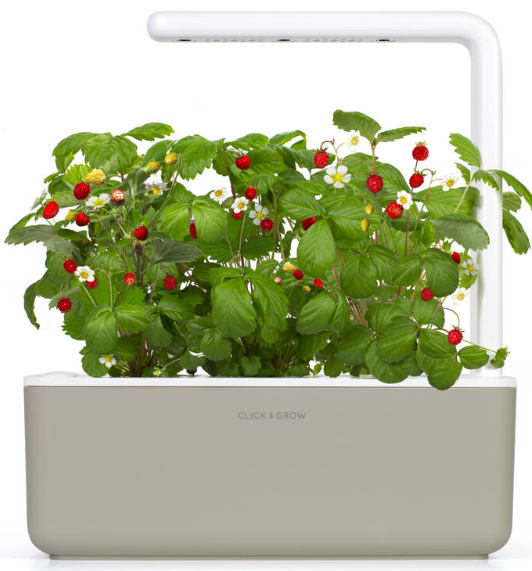 Chytrý kvetináč Click and Grow Smart Garden 3 - béžový