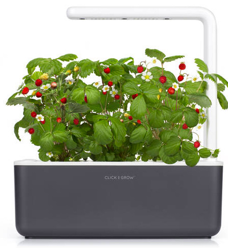 Chytrý kvetináč Click and Grow Smart Garden 3 - šedý