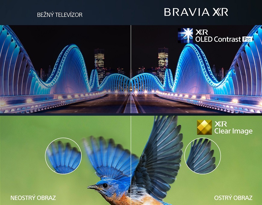 Televízory Sony, technológia XR OLED Contrast Pro