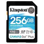Pamäťové karty SD s kapacitou 256 GB